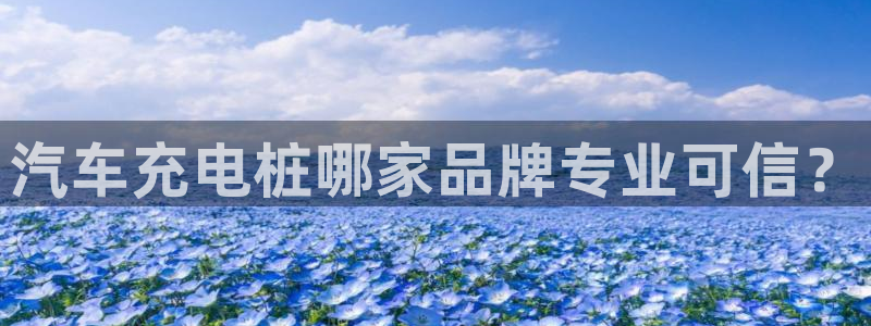 威廉指数是什么