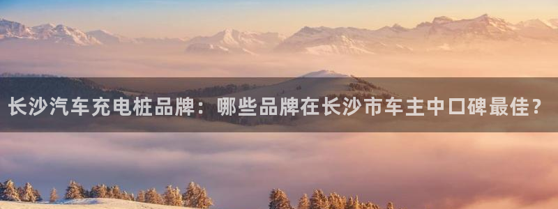 威廉篮球