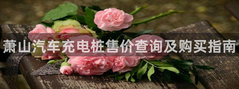 威廉希尔大小球怎么看