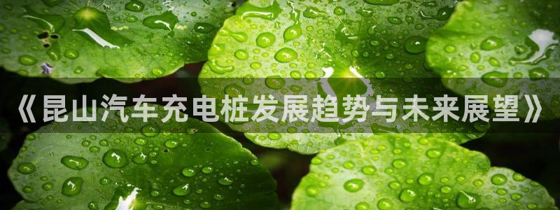 威廉士官方网站