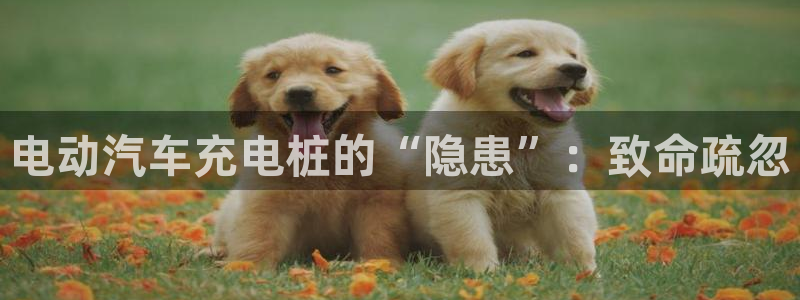 威廉希尓指数