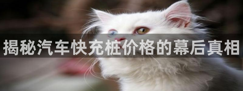 威廉希尔欧赔变盘特点