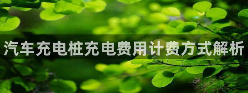 威廉希尔网站怎么换成中文