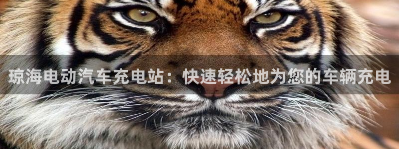 威廉平台链接