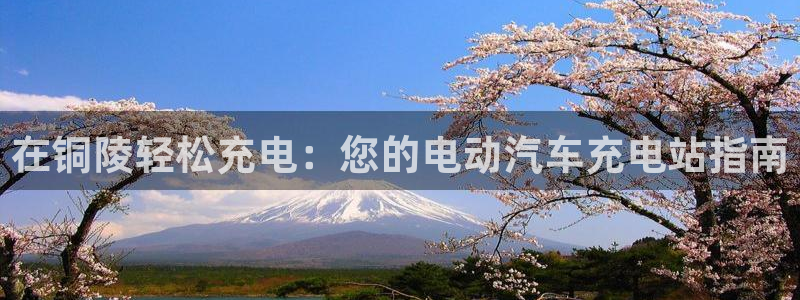 威廉希尔地区