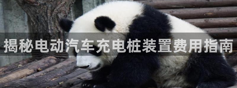 威廉希尔在中国怎么买东西