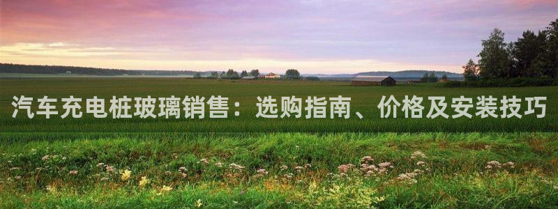 威廉希尔是什么水平的公司