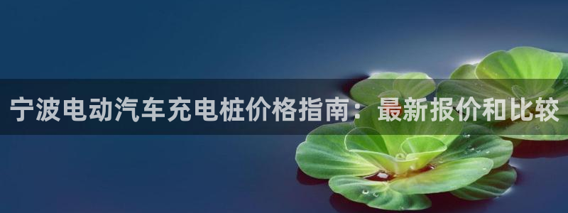 威廉希尔标准框架