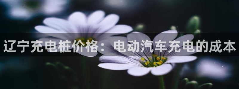 意甲威廉希尔初盘1.67 3.9 4.5