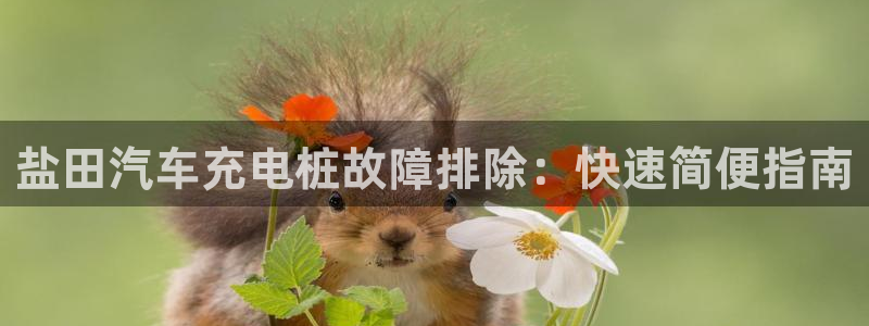 威廉希尔在中国怎么买东西
