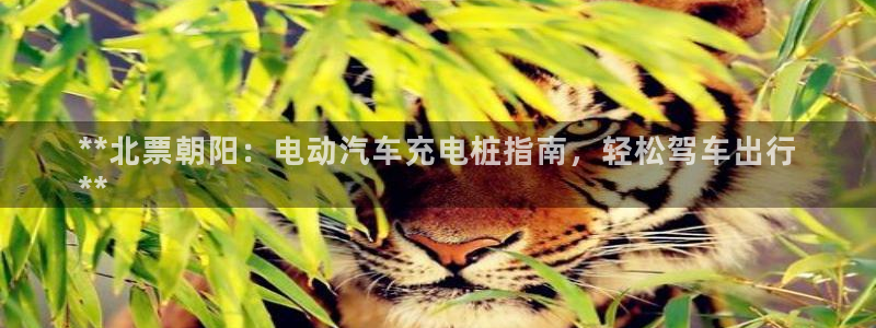 威廉希尔篮球看盘思路