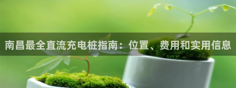 威廉希尔如何分析