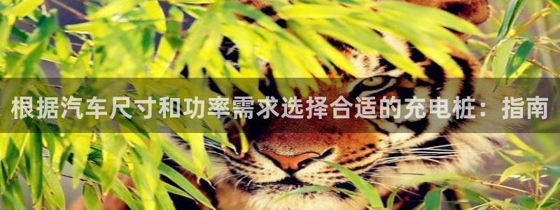 威廉希尔账号有人要吗