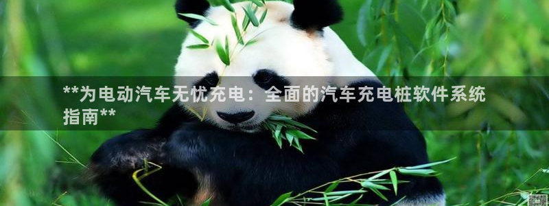 搜索威廉游戏主页