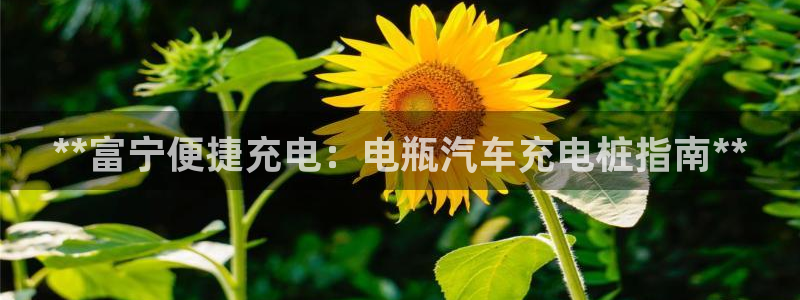 威廉澳门比较第三篇