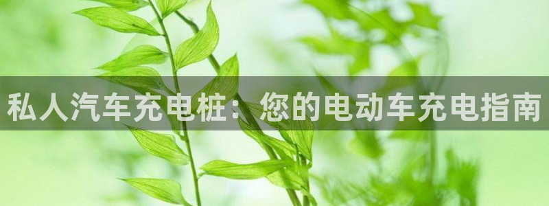 威廉cs