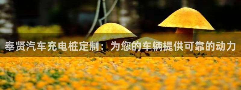 威廉希尔股票