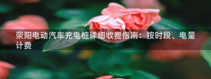 威廉国际是什么app