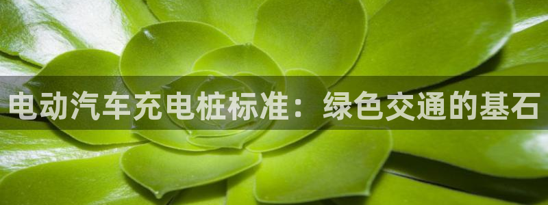 威廉士官方网站