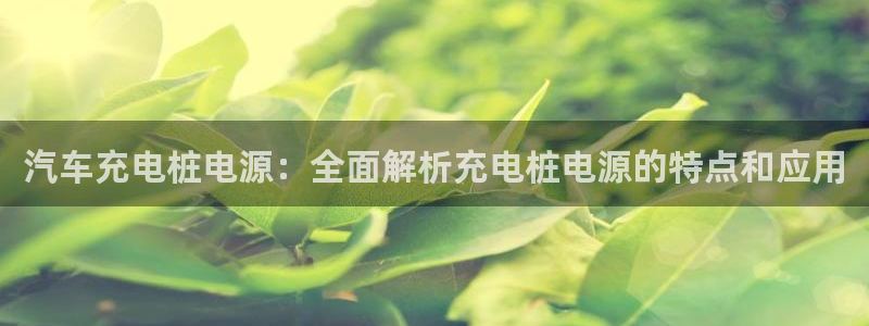威廉希尔标准框架：汽车充电桩电源：全面解析充电桩电源的特点和应用