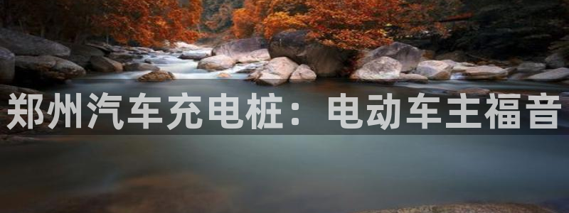 威廉国际不能提现：郑州汽车充电桩：电动车主福音