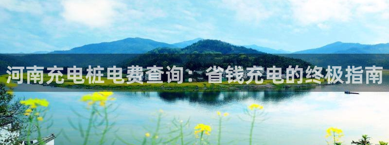 威廉希尔对比百家：河南充电桩电费查询：省钱充电的终极指南