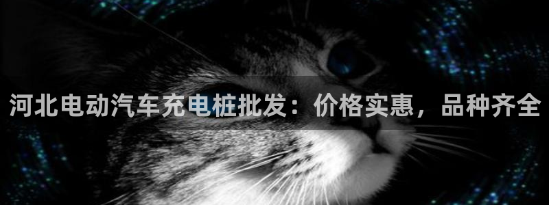 威廉希尔 1.70 4.20 4.20：河北电动汽车充电桩批发：价格实惠，品种齐全