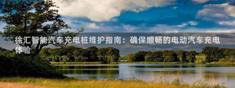 威廉体育下载地址查询：徐汇智能汽车充电桩维护指南：确保顺畅的电动汽车充电
体验