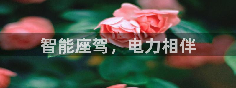在威廉希尔网站买球可以吗：智能座驾，电力相伴