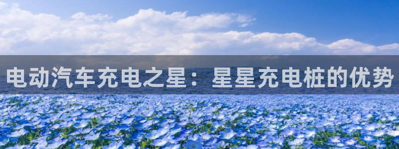 威廉希尔诺贝尔模型：电动汽车充电之星：星星充电桩的优势