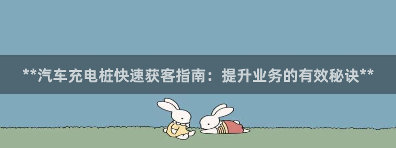 威廉希尔网球官网：**汽车充电桩快速获客指南：提升业务的有效秘诀**