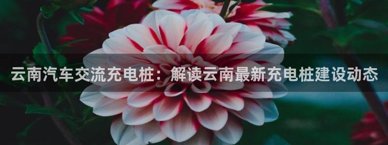 威廉希尔中国注册：云南汽车交流充电桩：解读云南最新充电桩建设动态