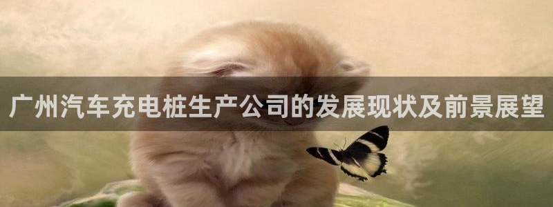 威廉娱乐2023官方版-3.28 Inurl:fayunsi：广州汽车充电桩生产公司的发展现状及前景展望