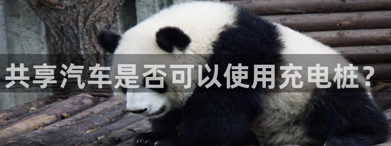 威廉希尔在中国有没有平台工作：共享汽车是否可以使用充电桩？