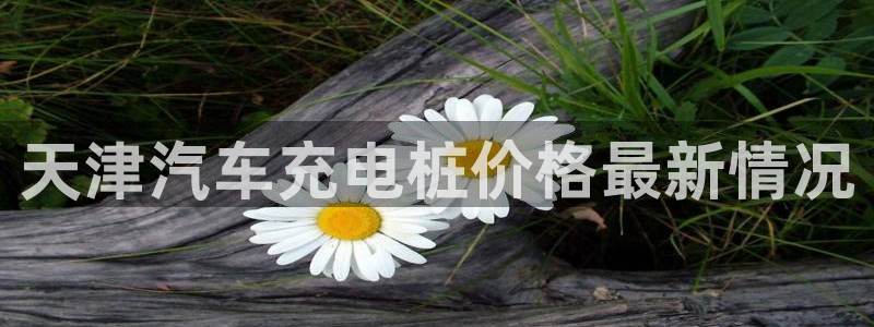 威廉澳门比较第三篇：天津汽车充电桩价格最新情况