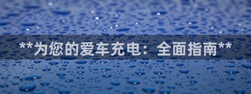 威廉希尔与int对比分析：**为您的爱车充电：全面指南**
