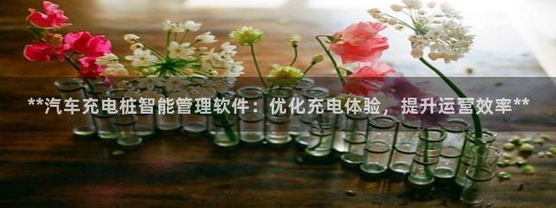 威廉网址：**汽车充电桩智能管理软件：优化充电体验，提升运营效率**