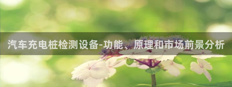 威廉希尔股票：汽车充电桩检测设备-功能、原理和市场前景分析