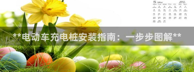 巴西甲威廉希尔初赔研究：**电动车充电桩安装指南：一步步图解**