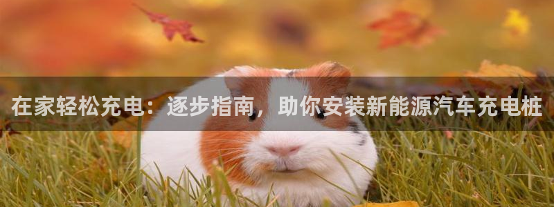 威廉希尔it：在家轻松充电：逐步指南，助你安装新能源汽车充电桩
