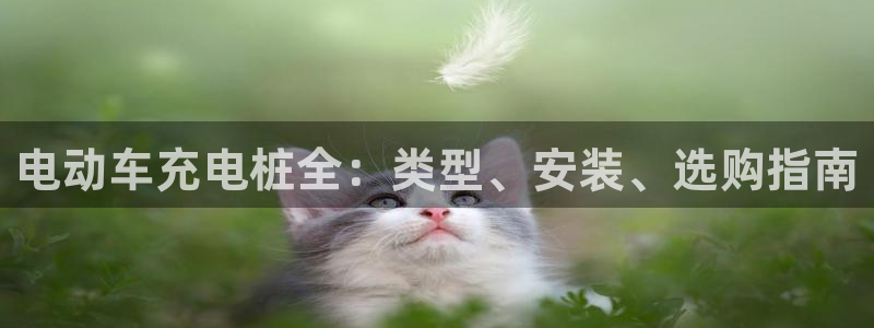 威廉体育官方：电动车充电桩全：类型、安装、选购指南