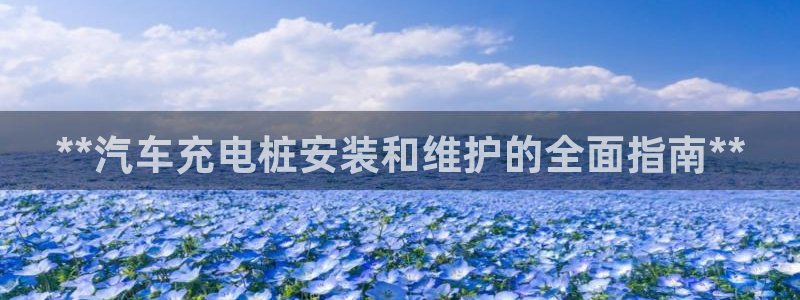 威廉希尔跑路了吗：**汽车充电桩安装和维护的全面指南**