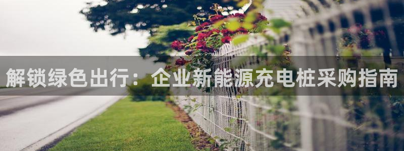 威廉希尔凯利指数怎么看：解锁绿色出行：企业新能源充电桩采购指南
