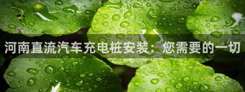 威廉希尔顿燃气热水器怎么样好用吗：河南直流汽车充电桩安装：您需要的一切