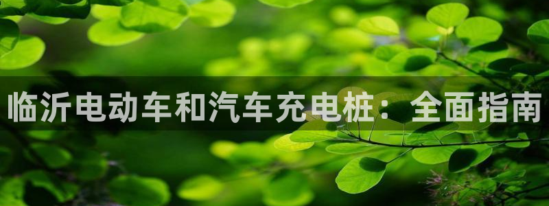 威廉国际平台正规吗：临沂电动车和汽车充电桩：全面指南