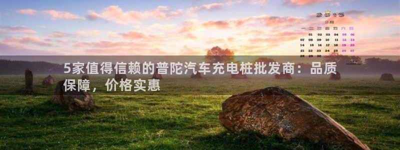 威廉希尔开盘大小球为什么都是2.5：5家值得信赖的普陀汽车充电桩批发商：品质
保障，价格实惠