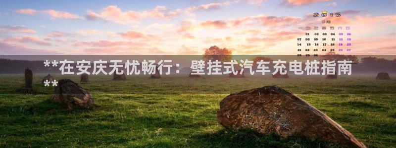 威廉国际公司：**在安庆无忧畅行：壁挂式汽车充电桩指南
**