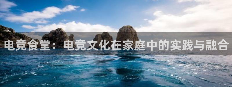 易游电竞官网：电竞食堂：电竞文化在家庭中的实践与融合