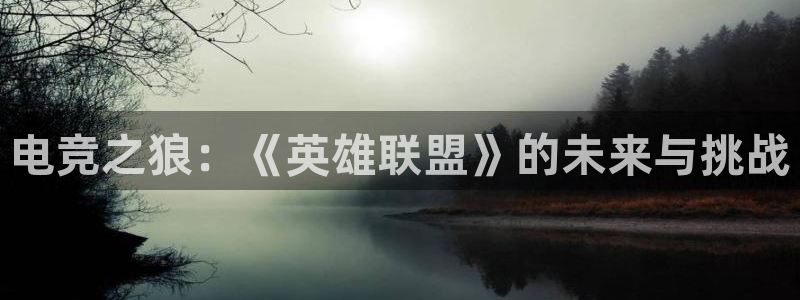 易游电竞：电竞之狼：《英雄联盟》的未来与挑战