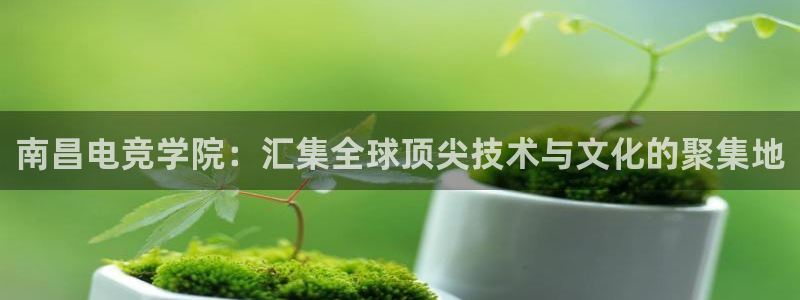 易游电竞：南昌电竞学院：汇集全球顶尖技术与文化的聚集地